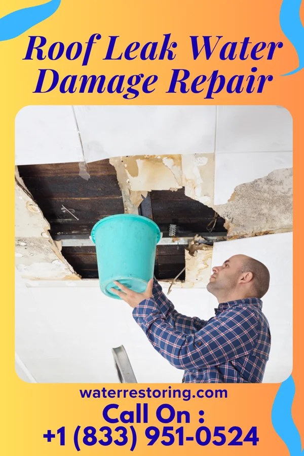 Roof Leak Water Damage Repair in St. Regis Park, KY